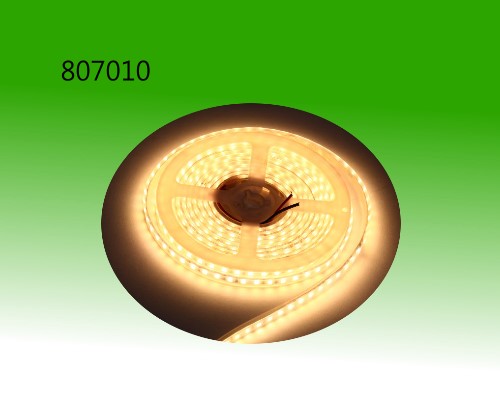 <99021B/30>LED 軟條燈 5050 30燈 裸條
