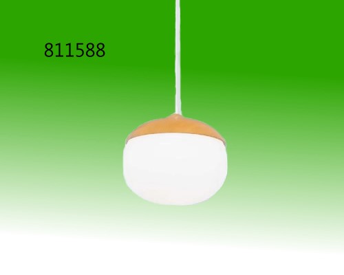 單燈木紋吊燈 燈具